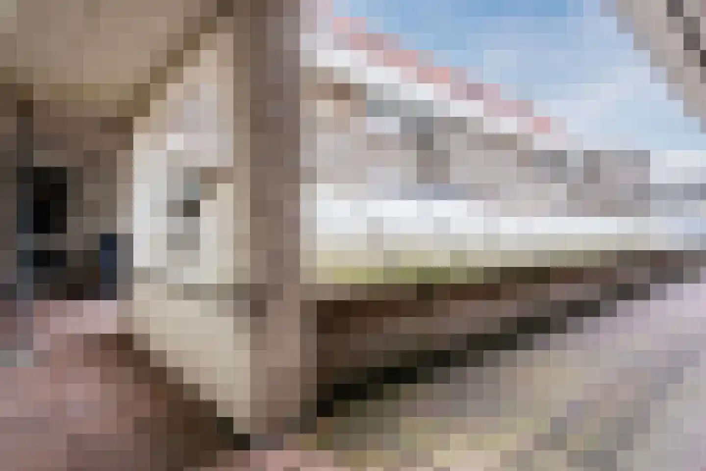 Taatedam 34 Katwijk thumbnail 54