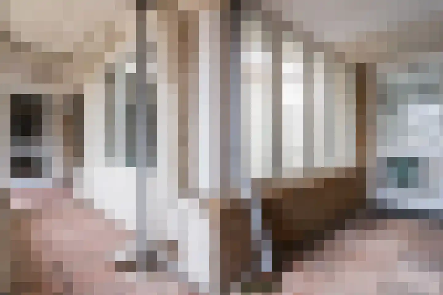Taatedam 34 Katwijk thumbnail 55