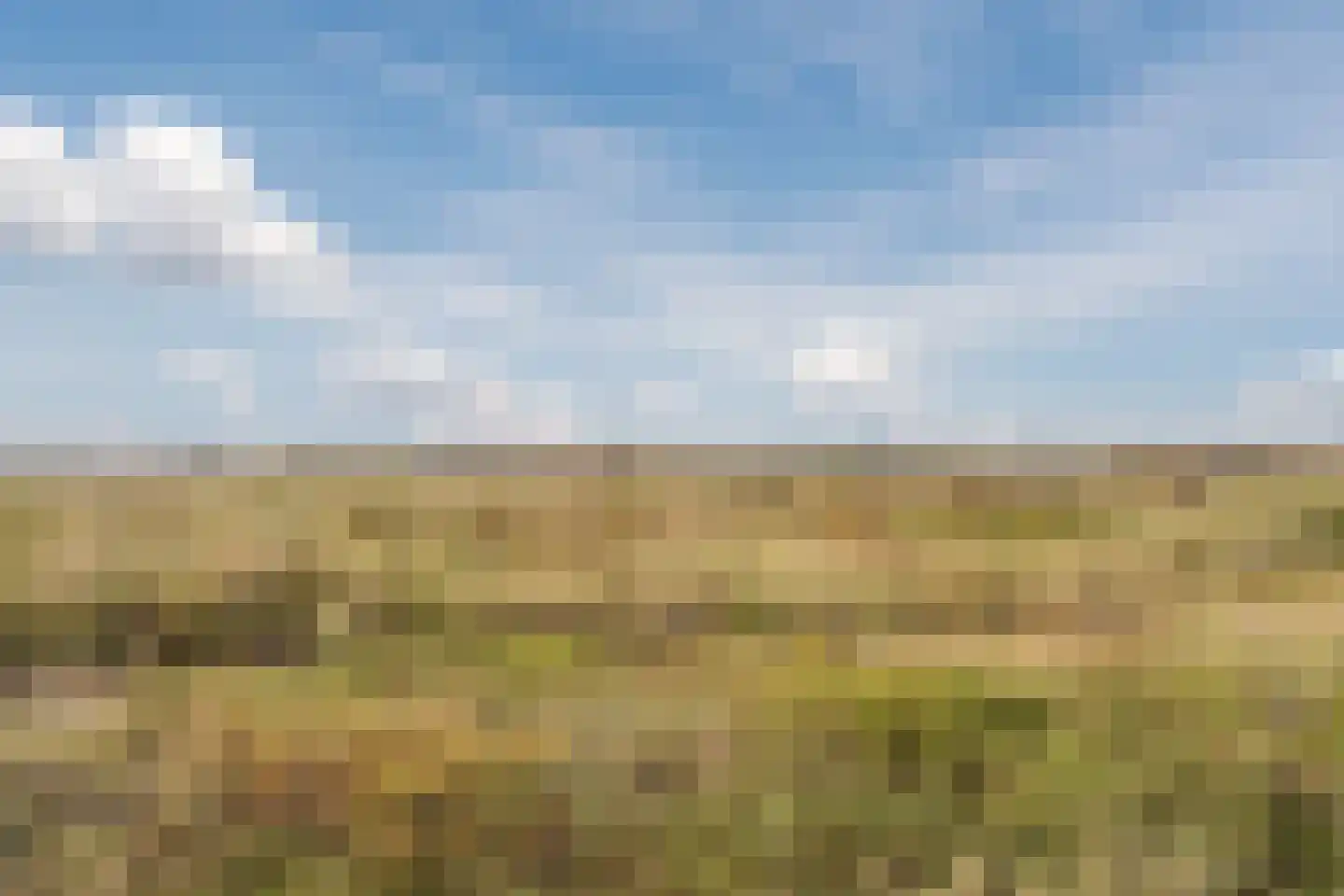 Taatedam 34 Katwijk thumbnail 57