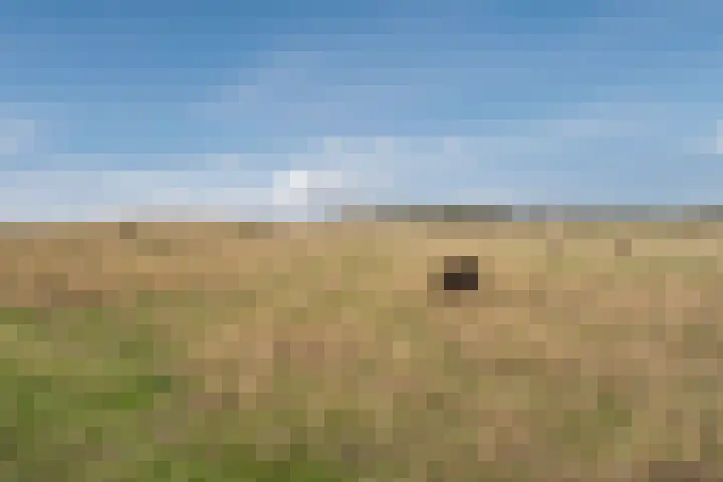 Taatedam 34 Katwijk thumbnail 72