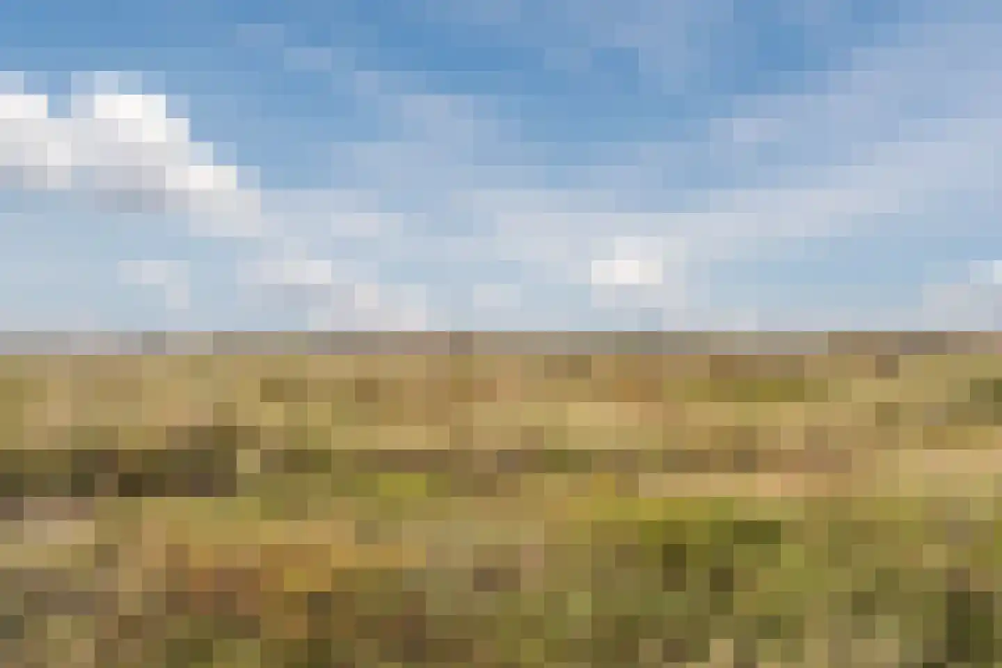 Taatedam 34 Katwijk thumbnail 73