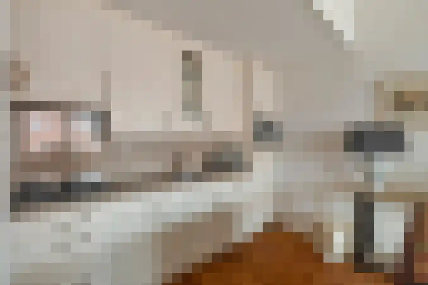 Taatedam 40 Katwijk thumbnail 13