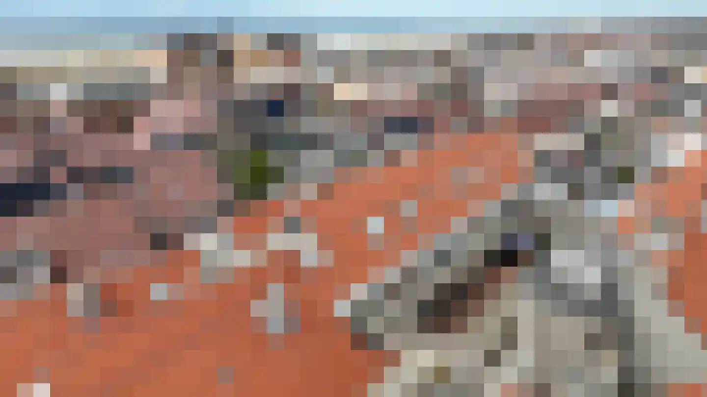 Taatedam 40 Katwijk thumbnail 39