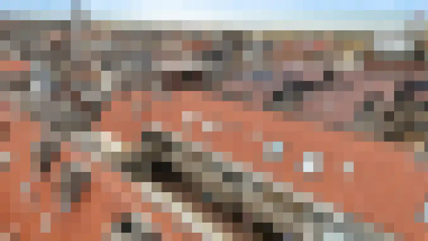 Taatedam 40 Katwijk thumbnail 40
