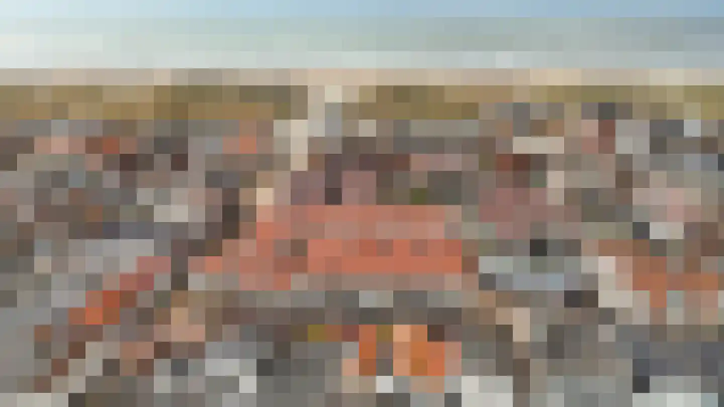 Taatedam 40 Katwijk thumbnail 5