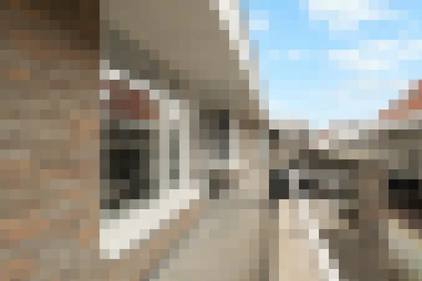 Taatedam 40 Katwijk thumbnail 6