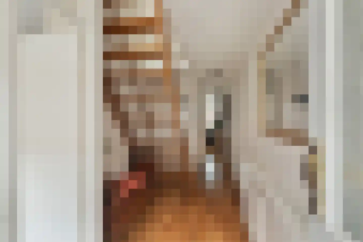 Taatedam 40 Katwijk thumbnail 8