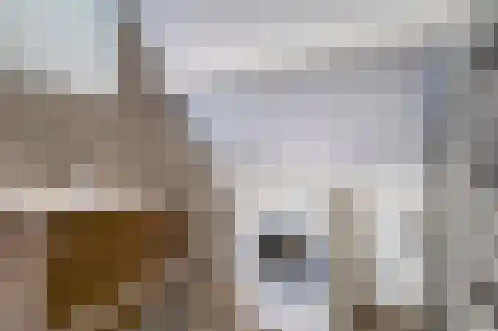 Taatedam 51 Katwijk thumbnail 22