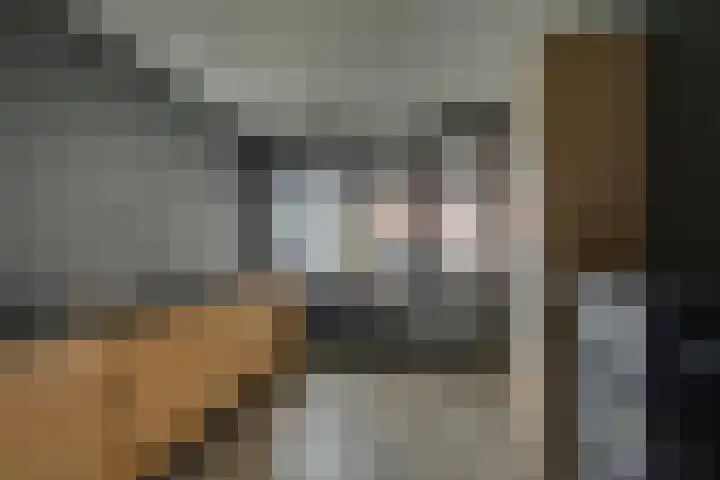 Tabaksgaarden 10 Rijssen thumbnail 20