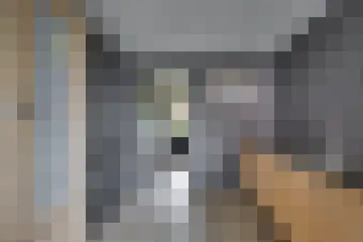 Tabaksgaarden 10 Rijssen thumbnail 21