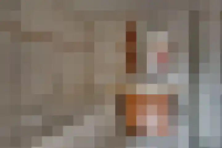 Tabaksgaarden 10 Rijssen thumbnail 24