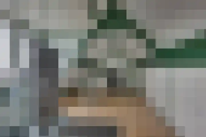 Tabaksgaarden 10 Rijssen thumbnail 29