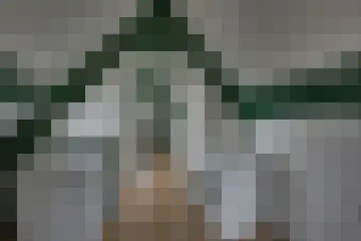 Tabaksgaarden 10 Rijssen thumbnail 31