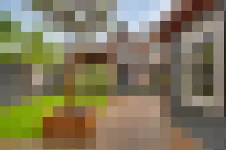Tabaksgaarden 10 Rijssen thumbnail 36