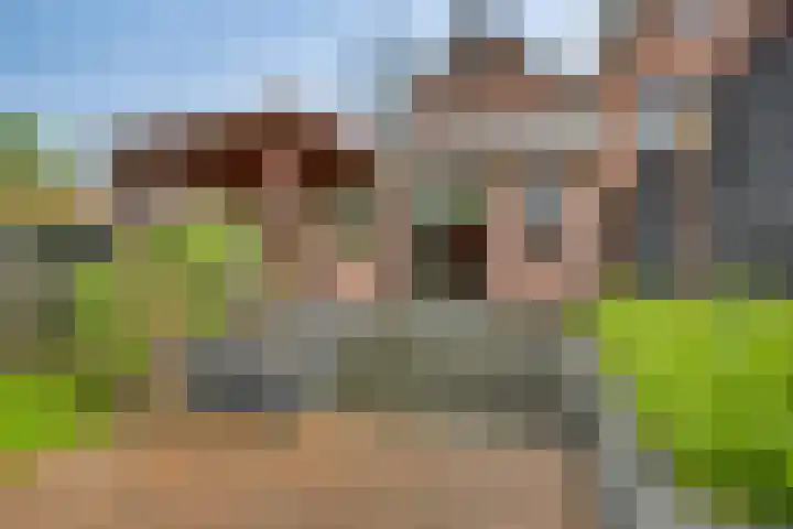Tabaksgaarden 10 Rijssen thumbnail 37