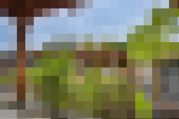 Tabaksgaarden 10 Rijssen thumbnail 4
