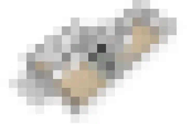Tabaksgaarden 10 Rijssen thumbnail 42