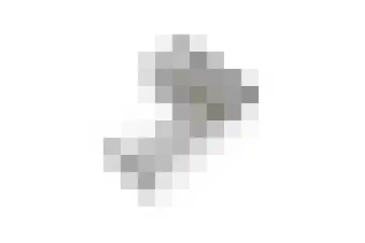 Tabaksgaarden 10 Rijssen thumbnail 49