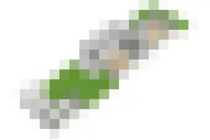 Tabaksgaarden 10 Rijssen thumbnail 51