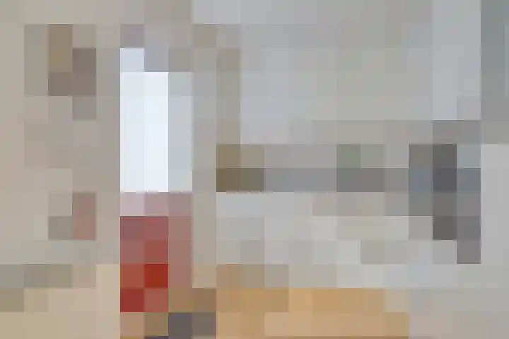 Tabakshof 18 Huissen thumbnail 16