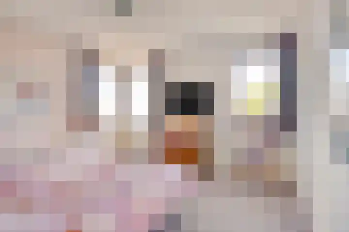 Tabakshof 18 Huissen thumbnail 22