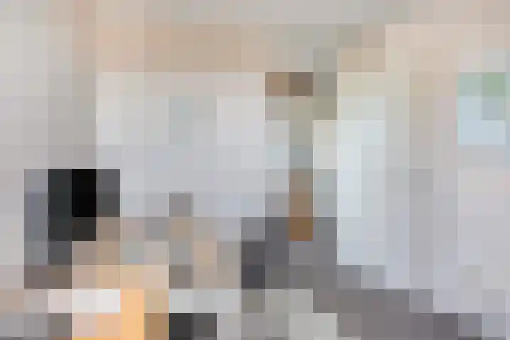 Tabakshof 18 Huissen thumbnail 29