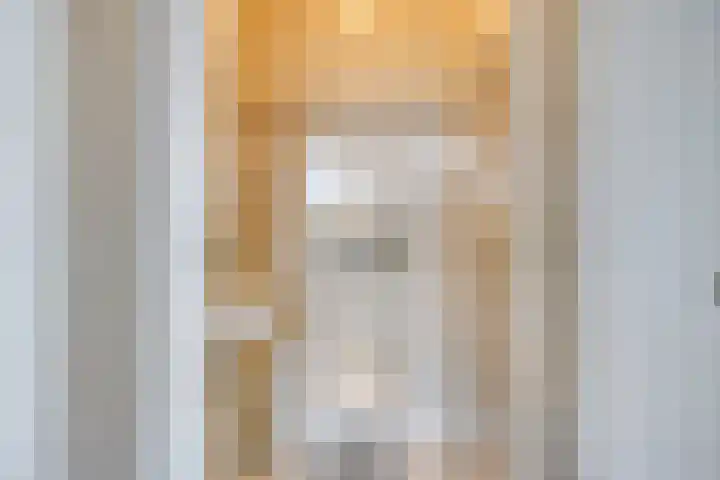 Tabakshof 18 Huissen thumbnail 30