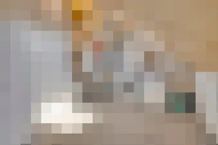 Tabakshof 18 Huissen thumbnail 31