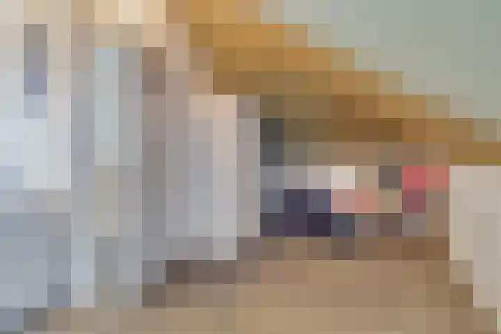 Tabakshof 18 Huissen thumbnail 32