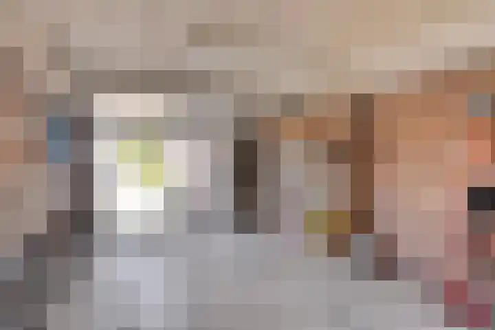 Tabakshof 18 Huissen thumbnail 34