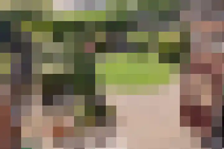 Tabakshof 18 Huissen thumbnail 36