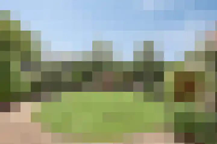 Tabakshof 18 Huissen thumbnail 38
