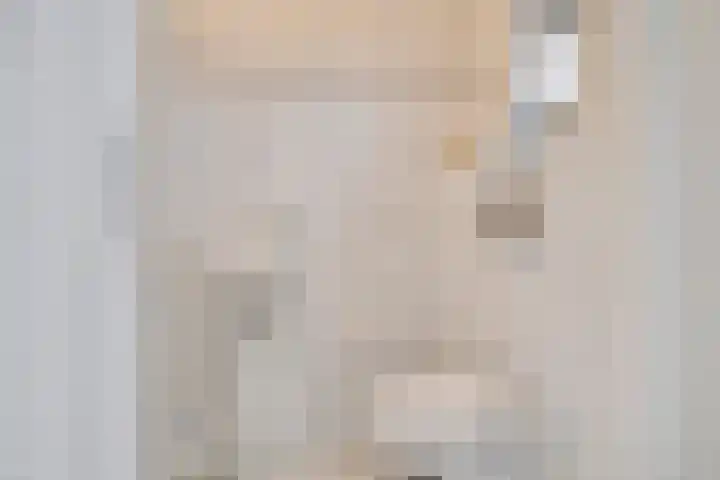 Tabakshof 18 Huissen thumbnail 7