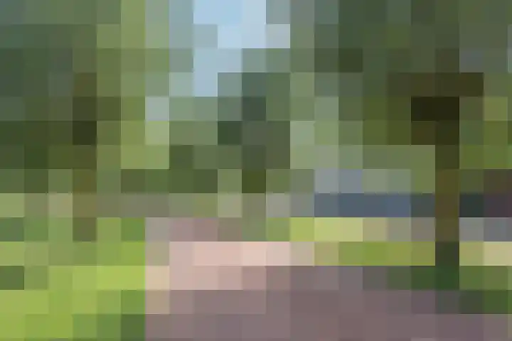 Tabakskamp 52 Bunschoten-Spakenburg thumbnail 36