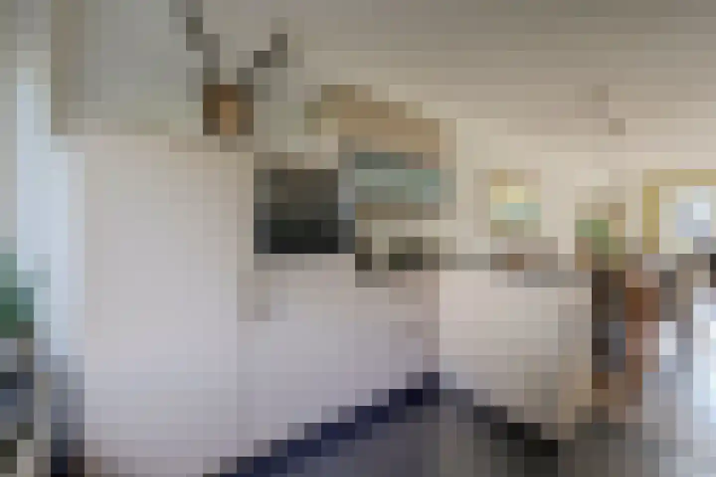 Tabakslaan 10 Veenendaal thumbnail 10