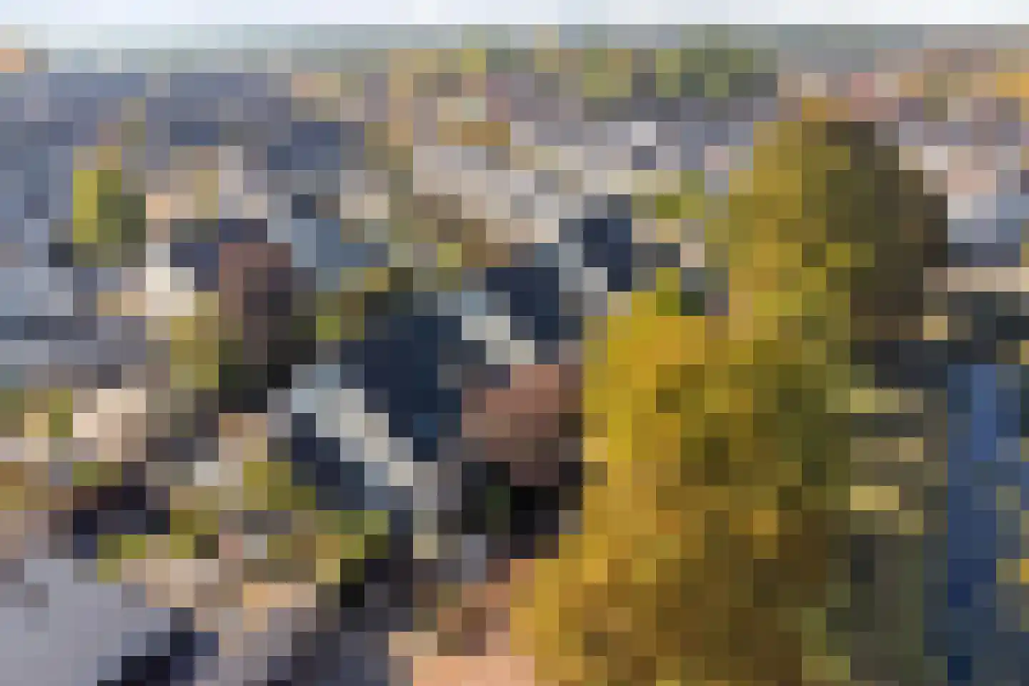 Tabakslaan 10 Veenendaal thumbnail 30