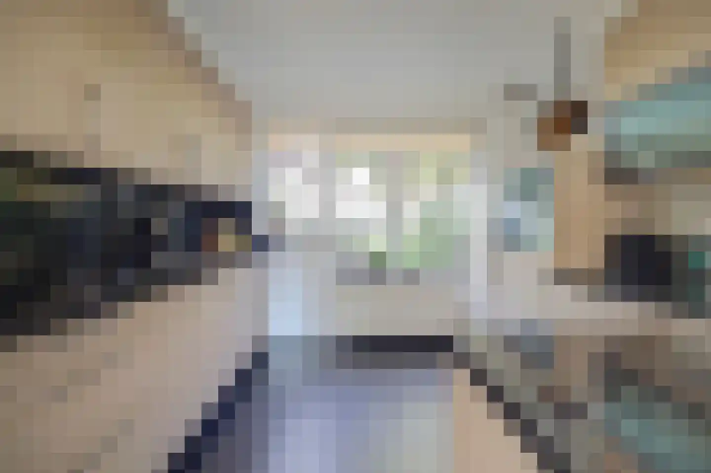 Tabakslaan 10 Veenendaal thumbnail 8