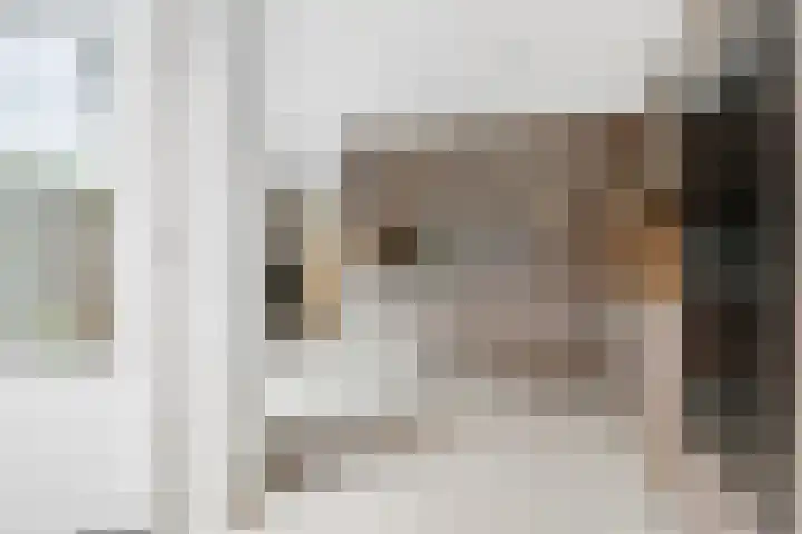 Tabakslaan 13 Amerongen thumbnail 24