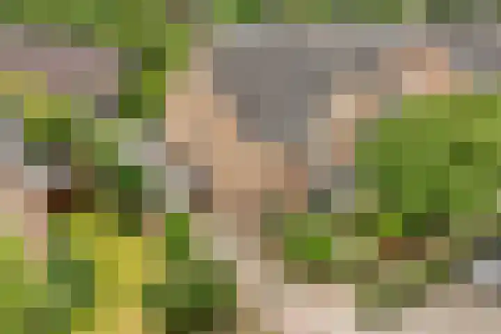 Tabakslaan 13 Amerongen thumbnail 45