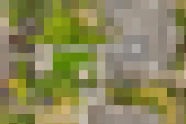 Tabakslaan 13 Amerongen thumbnail 47