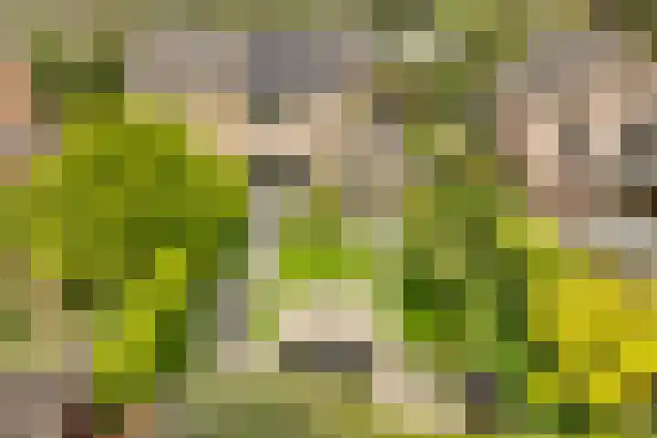 Tabakslaan 13 Amerongen thumbnail 48