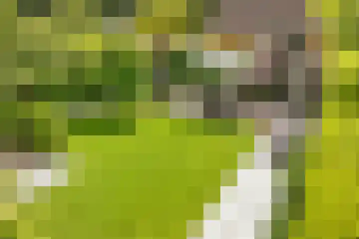 Tabakslaan 13 Amerongen thumbnail 49