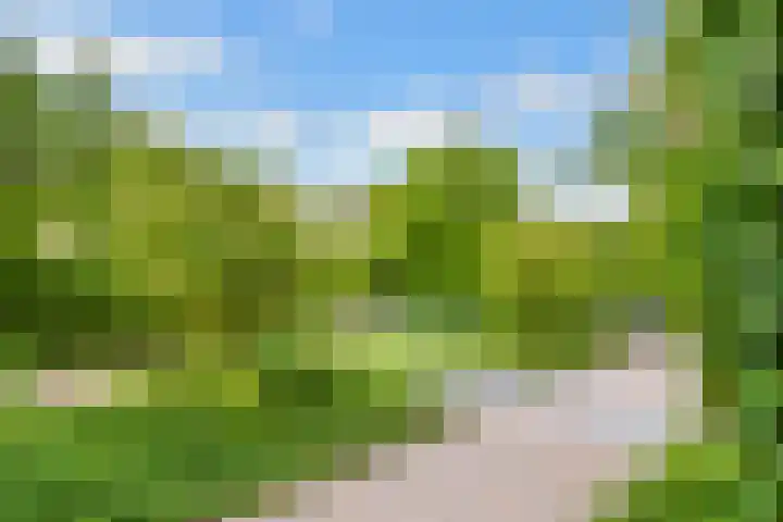Tabakslaan 13 Amerongen thumbnail 51