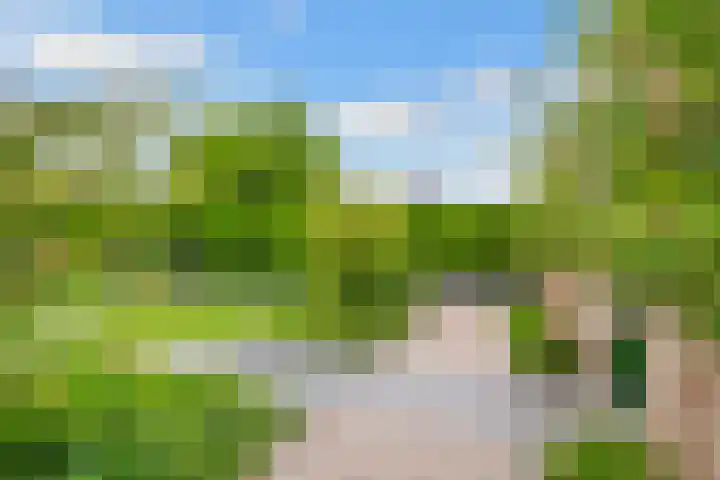 Tabakslaan 13 Amerongen thumbnail 52