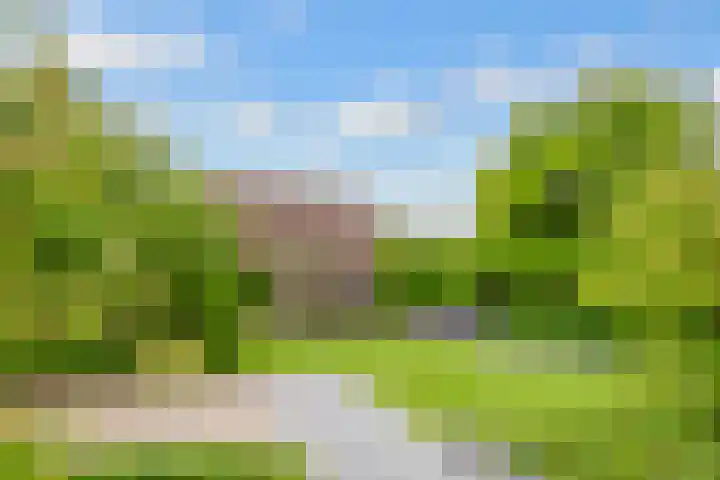 Tabakslaan 13 Amerongen thumbnail 53