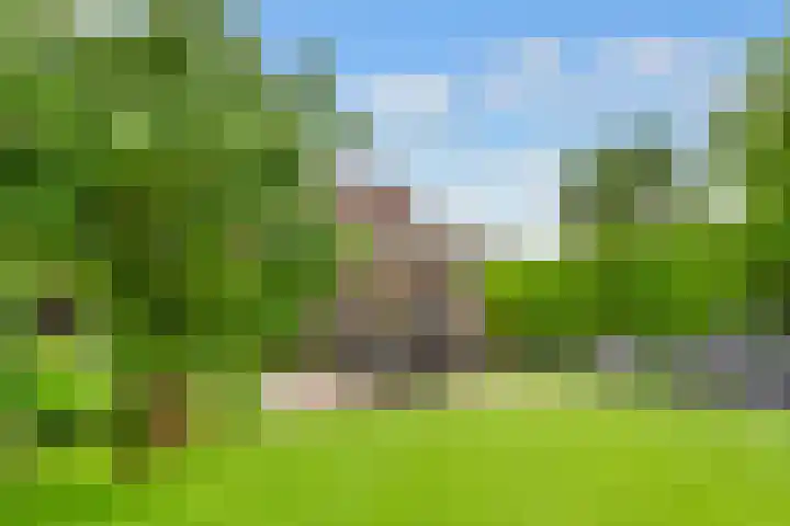Tabakslaan 13 Amerongen thumbnail 54