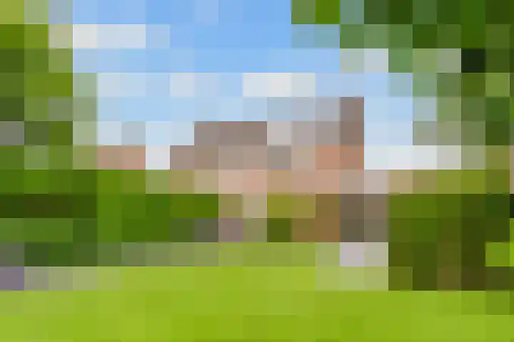 Tabakslaan 13 Amerongen thumbnail 55