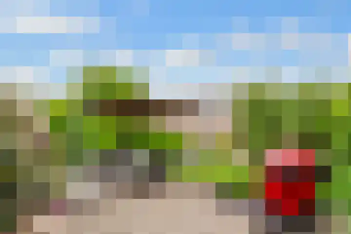 Tabakslaan 13 Amerongen thumbnail 56