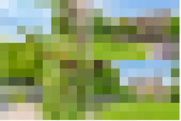 Tabakslaan 13 Amerongen thumbnail 61