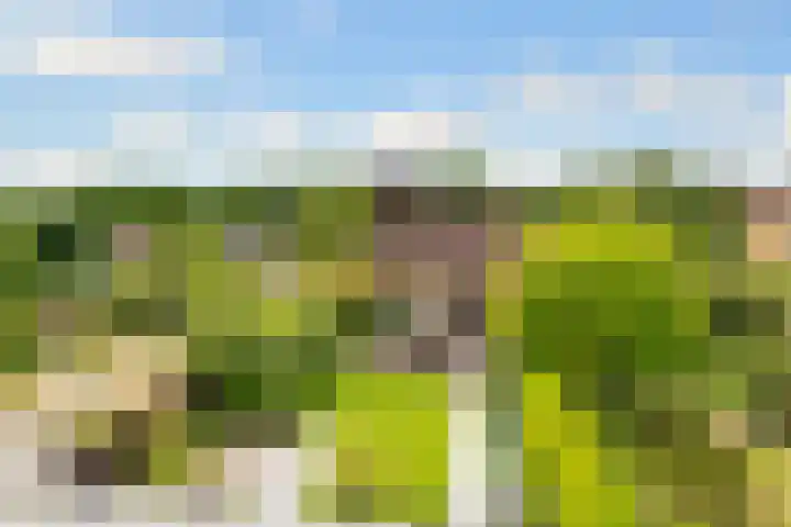 Tabakslaan 13 Amerongen thumbnail 62